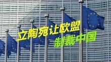 立陶宛求助欧盟制裁中国，欧盟的回应很扎心：了解情况但不予置评