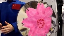 浪漫！水膜实验让王亚平与女儿做的花在太空绽开