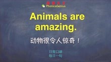 [图]零基础学英语口语每日一句 Animals are amazing