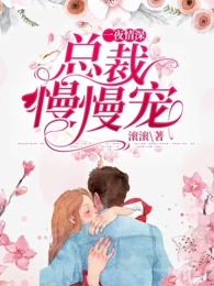 一夜难求：总裁轻点来