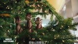 鼠来宝：戴维砍下松树做圣诞树装饰，花栗鼠一家都被带进城市