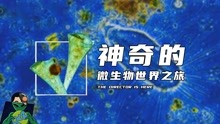 [图]神奇的微生物世界之旅