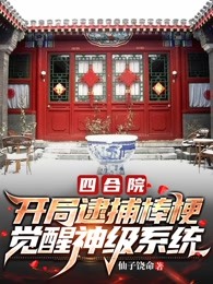 四合院：开局逮捕棒梗，觉醒神级系统