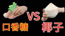 [图]口香糖 VS 椰子，谁更厉害？非牛顿流体很牛吗？