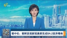 朝中社:朝鲜发现新冠奥密克戎BA.2变异毒株