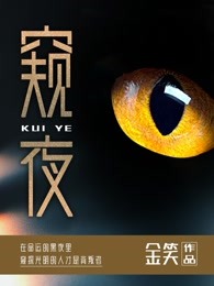 窥夜