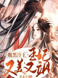 腹黑冷王：王妃又美又飒