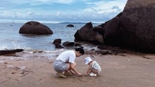 张馨月晒与女儿沙滩游玩合照 与孩子一起海边玩沙幸福温馨
