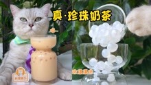 猫王：你喝过珍珠做的真·珍珠奶茶吗？