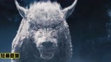 狂暴巨狼：一伙人意外闯入狼窝，枪杀狼崽，惨遭狼王疯狂报复