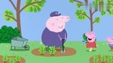 小猪佩奇：佩奇好奇研究香水，花花草草放一团，还是没跳泥坑好玩