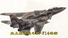 永远的经典可变后掠翼战斗机-F14雄猫