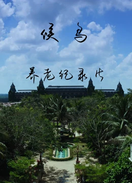候鸟}