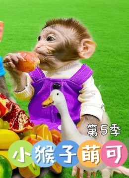 小猴子萌可 第5季