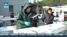 海鲜打包进入“春节”模式 鲳鱼价格历年最高