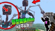 我的世界：巨型蜘蛛Him袭击村庄，史蒂夫由3D变为2D！