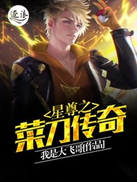 星尊之菜刀传奇