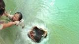 西游降魔：女儿掉水里，母亲拉住，谁想河妖跳起来将她吃掉