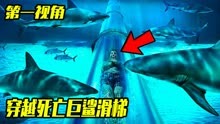 死亡巨鲨滑梯被袭击