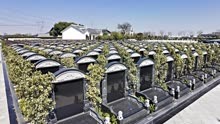 上海天价墓地76万一平？殡葬管理处：建议根据消费能力选择