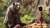 《奇幻森林》：熊孩子人小鬼大，用这个办法帮狗熊摘蜂蜜，真聪明