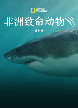 非洲致命动物第七季