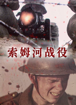 索姆河战役中字封面图