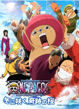 航海王 剧场版9：乔巴身世之谜}