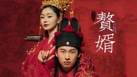 赘婿