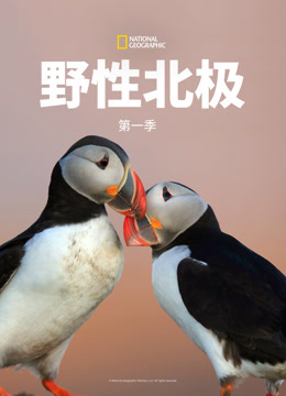 野性北极第一季