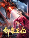 御龙王妃}