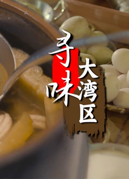 寻味大湾区英文版}