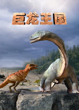 巨龙王国}