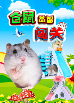 仓鼠益智闯关