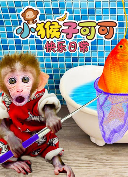 小猴子可可快乐日常