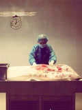 法医密档