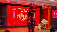 多伦多北约克 York Mills社区 YMCC邻居群春晚 2024-03-14