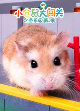 小仓鼠大闯关之游乐园 第二季}