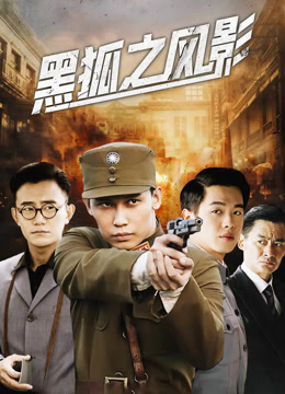 黑狐之风影