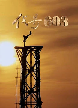 代号603}