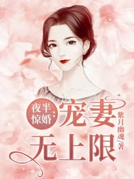 夜半惊婚：宠妻无上限