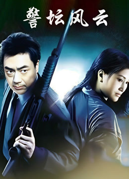 警坛风云第一部