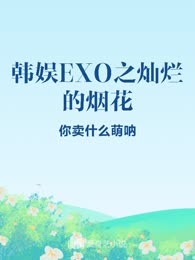 韩娱EXO之灿烂的烟花
