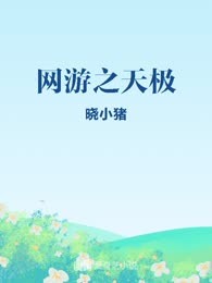 网游之天极
