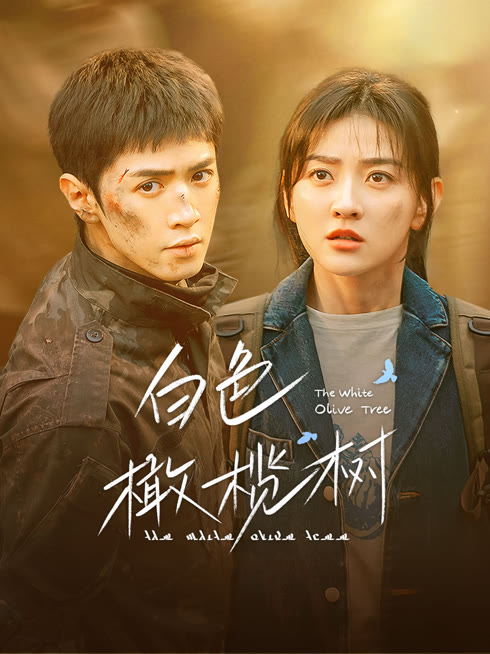 线上看 白色橄榄树 带字幕 中文配音