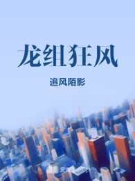 龙组狂风
