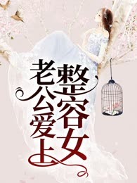 老公爱上整容女