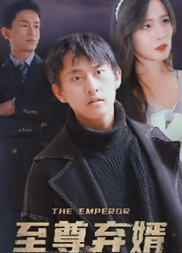 至尊弃婿