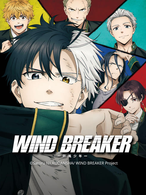 线上看 WIND BREAKER—防风少年— 带字幕 中文配音