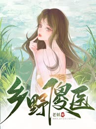 乡野傻医